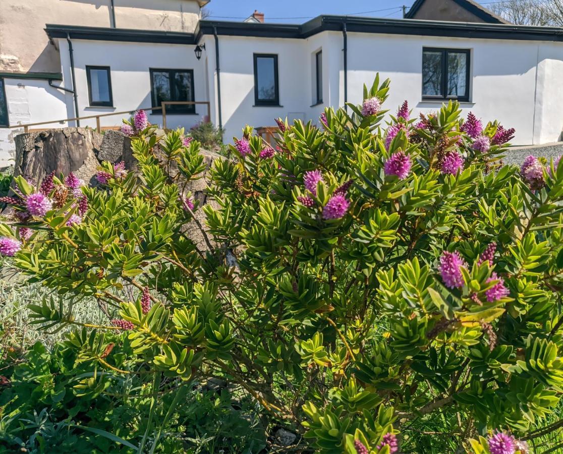 Darracott Farm Cottage Welcombe エクステリア 写真